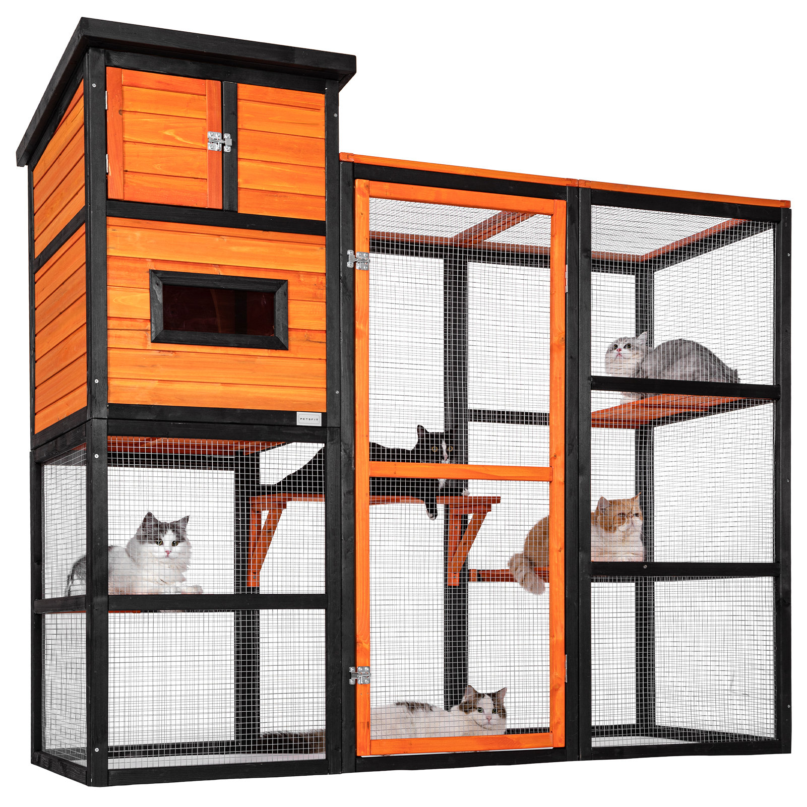 Outside fashion cat kennel